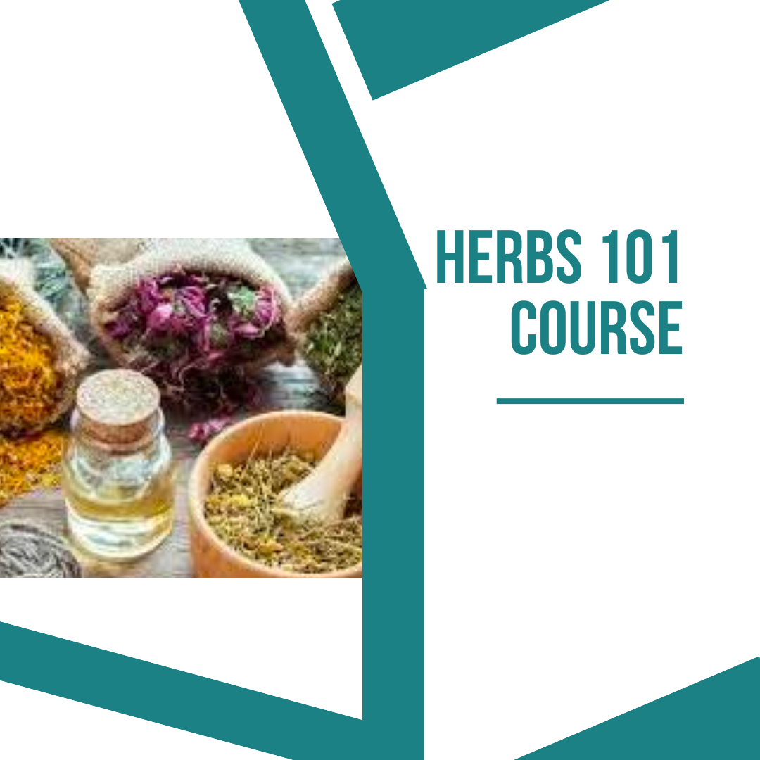 Herbs 101 Course